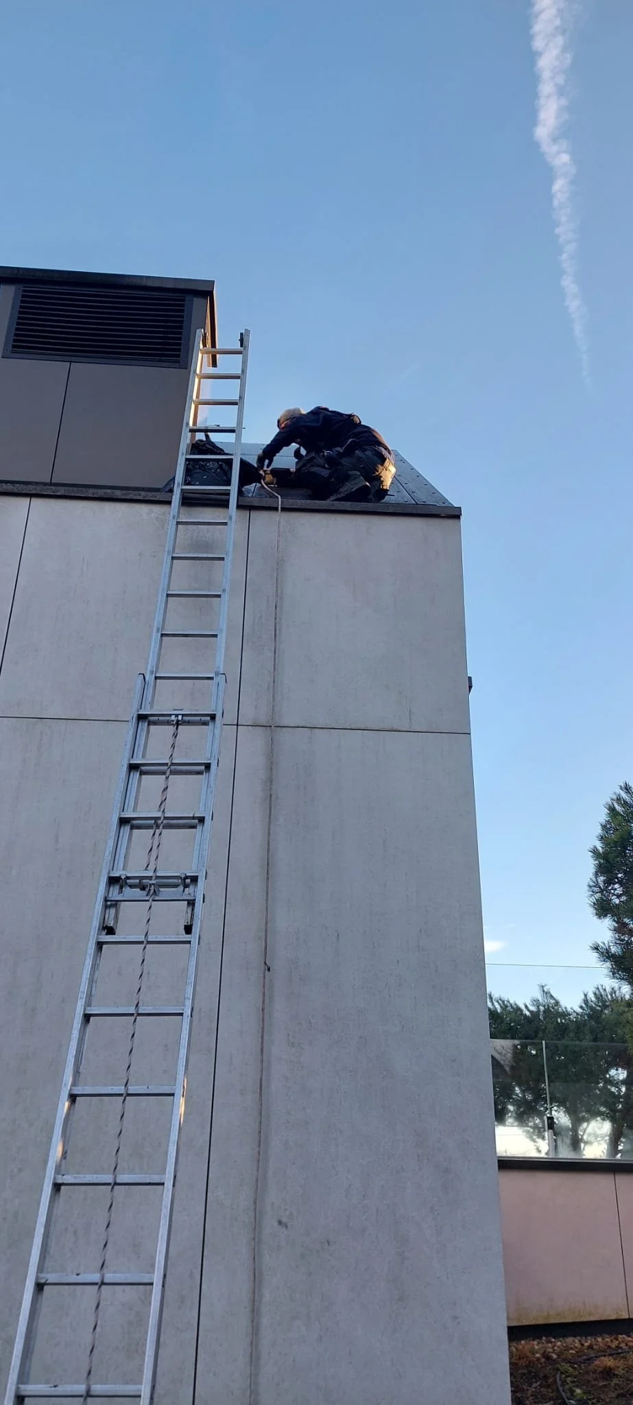 Dachservice